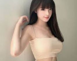 基础介绍手册